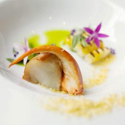 A finished plate from the tasting menu