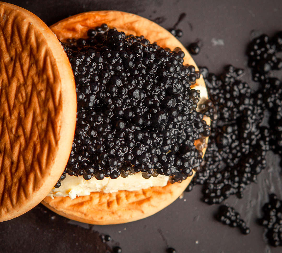 2024 New Year’s Eve Tasting Menu in Lake Geneva, WI Fine Dining